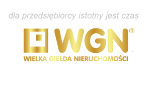 WGN Logo dla przedsiębiorcy istotny jest czas